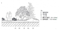 宝绿素在屋顶花园应用和地下覆土设施蓄排水剖