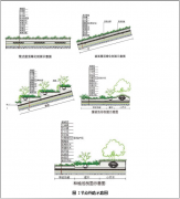 宝绿素在屋顶绿化工程中应用注意事项